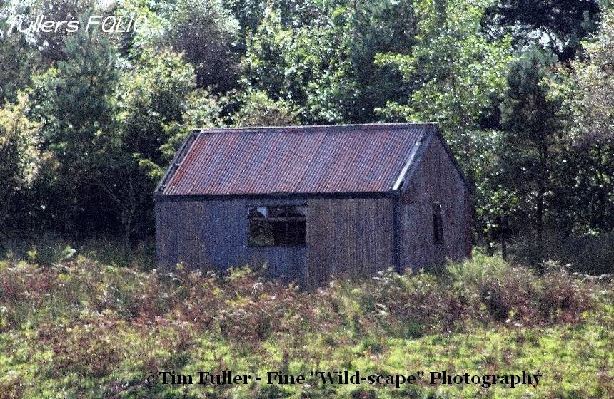 Old Shed near Greenhaugh