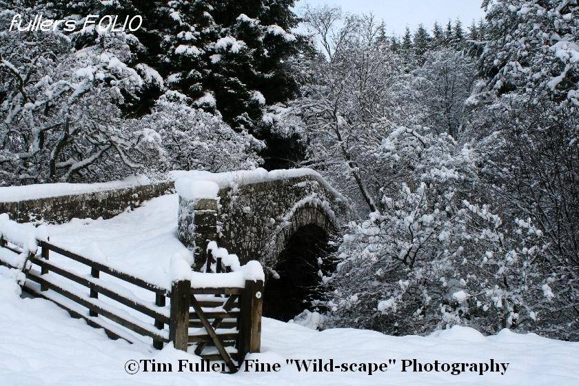 Snow covered Bridge